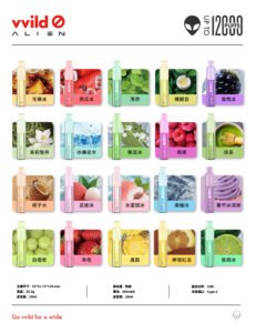 vvild🚫小野 外星人一次性拋棄式小煙12000口 10ml油倉 口味齊全
